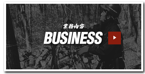 bnrhalf_business_off