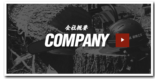 bnrhalf_company_off