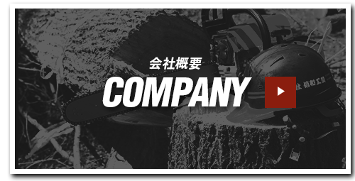 bnrhalf_company_off